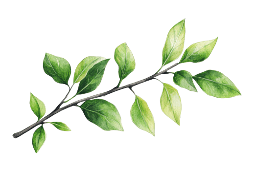 Realistic illustration of a green leafy branch with detailed leaves on a transparent background. perfect for nature and botanical designs. png