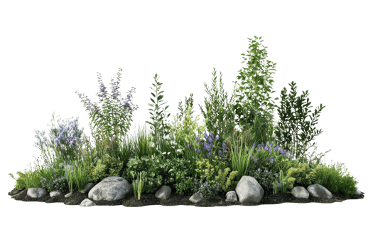 Lush garden with variety of greenery and flowers surrounded by rocks, showcasing nature's beauty. png