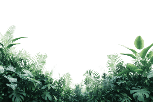 Lush green tropical rainforest with dense vegetation, perfect for nature, environmental backgrounds, and eco-friendly themes. No sky visible. png