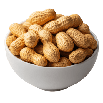Delicious Peanut in White Bowl for Healthy Snacking and Cooking png