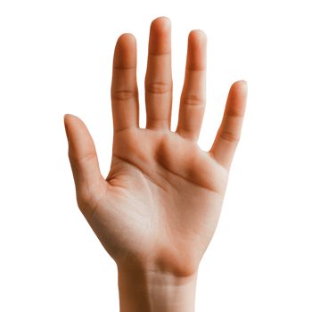 Person Raising Hand to Ask a Question on a White Background for Educational Use png