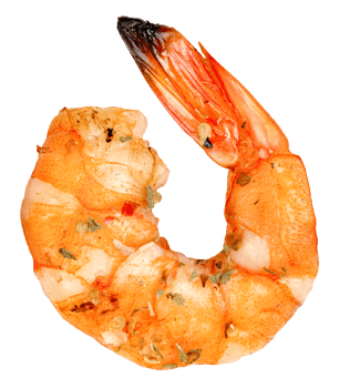 roasted peeled prawn isolated png