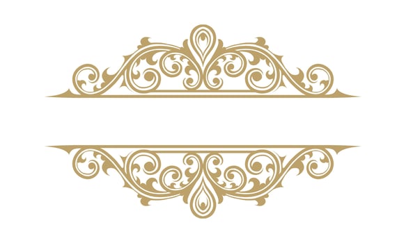 Floral frame ornament vintage Design vector