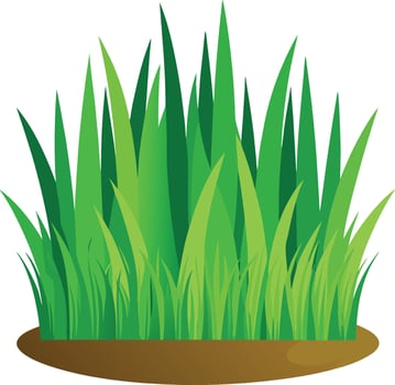 Green grass clipart vector