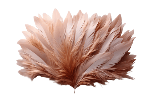 Acrylic Mat on transparent background. png