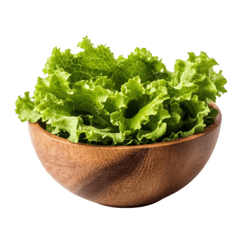 Fresh green lettuce leaves in a wooden bowl arranged on a transparent background for a healthy meal option, lettuce leaf in wood bowl isolated on transparent background png