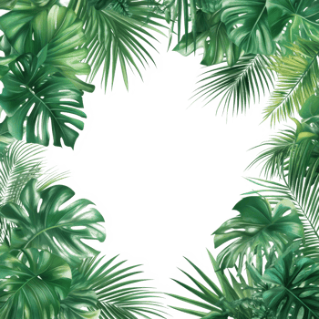 Tropical palm leaves create a lush green frame on a bright transparent background for a fresh, vibrant look, green botanical tropical palm leaves frame on transparent background png