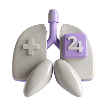 3D Illustration of Lungs with Plus Sign and Number 24 png