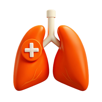 Respiratory Health 3D Icon Illustration of Lungs with Plus Sign png