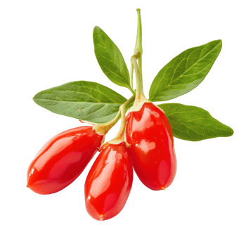 Fresh Goji berry with green leaves isolate on transparency background png