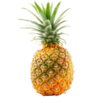 Pineapple side view full length isolate on transparency background png
