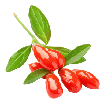 Fresh Goji berry with green leaves isolate on transparency background png
