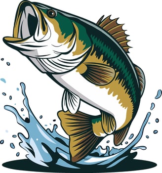 Big bass fish design set illustration A big fish silhouette . vector