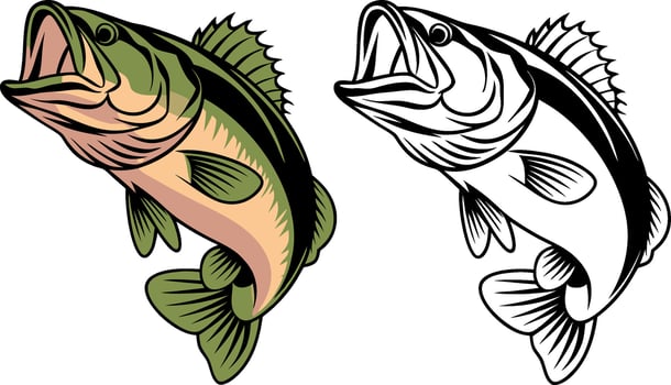 Big bass fish cartoon for t-shirt illustration. vector
