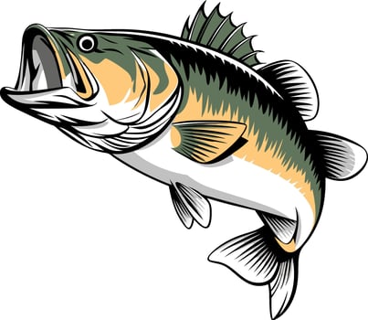 Big bass fish design set illustration A big fish silhouette . vector