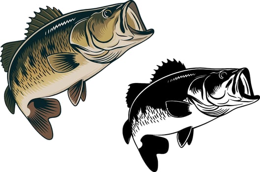 Big bass fish cartoon for t-shirt Big bass fish design set illustration A big fish silhouette . vector