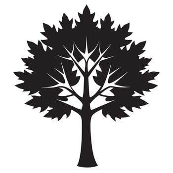A black and white silhouette of maple tree vector