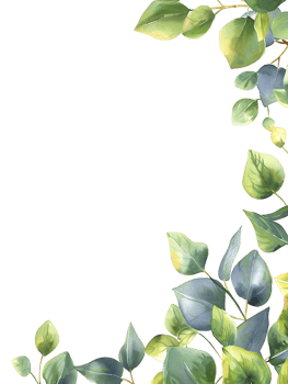 Eucalyptus Twigs Watercolor Border on Transparent Background png