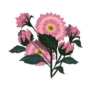 dhalia which is translated as Asteraceae Arabian Night flower or garden dahlia. pink flower top view. vector
