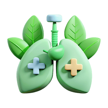 Healthy Lungs 3D Illustration with Green Leaves png