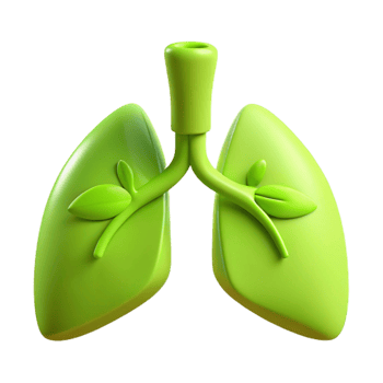 Green Lungs with Leaves 3D Illustration of Healthy Respiratory System png