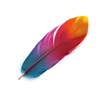 floated colorful feather isolate on transparency background png