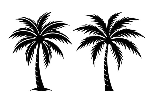 Two palm trees silhouette vector