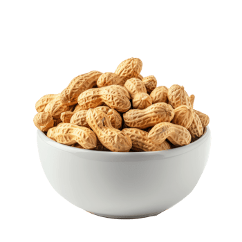 Peanuts in a bowl front view isolate on transparency background png