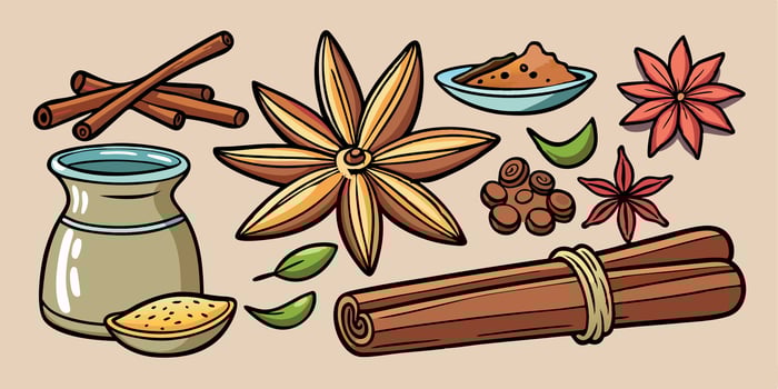 Set of spicy aromatic food. Cinnamon and anise spice. Drawn flavor condiment. Scent aroma cooking ingredient. Kitchen cannella seasoning vector