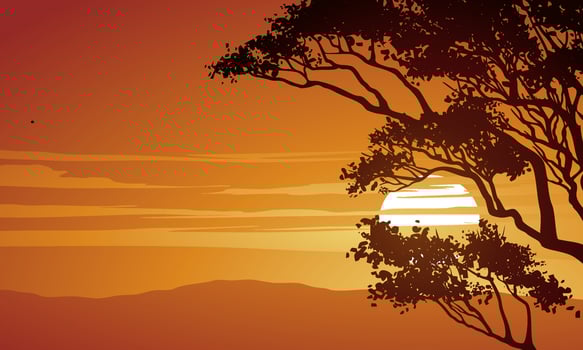 Sunset background with tree bramch silhouette vector