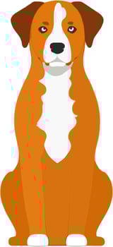 Muzzle Pet Animal Companion Breed vector