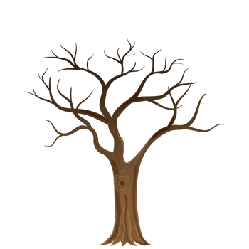 dry tree 2d cartoon png