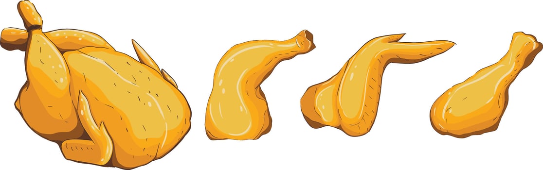 Illustration baked chicken and its parts vector