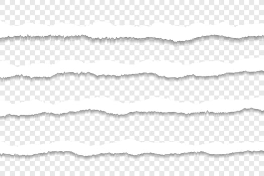 Ripped paper strips with uneven jagged edges vector