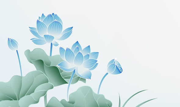 Hand painted Chinese style elegant lotus color illustration on light grey background vector