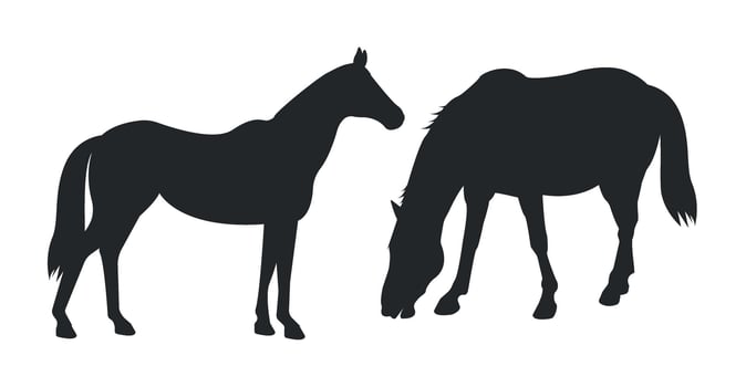 Silhouettes of two horses on a white background. vector