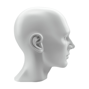 White Mannequin Head in Profile View, 3D Illustration On Isolated Background png