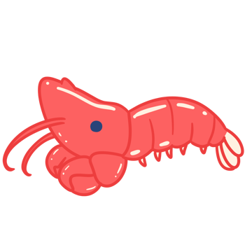 shrimp sea animal png