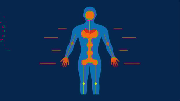 Thermal Imaging of Body A graphic showcasing a human figure in thermal colors indicating areas of heat and energy flow related to biofeedback and optimization.. vector