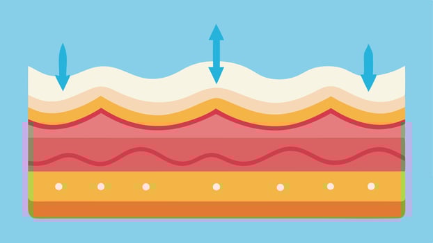 Skin Tightening An illustration of skin layers with arrows showing tightening effects on the epidermis due to collagen stimulation from cold therapy.. vector