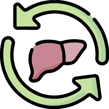 Liver health clipart vector
