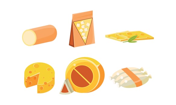 Collection of cheese assortment, various types of cheese Illustration vector