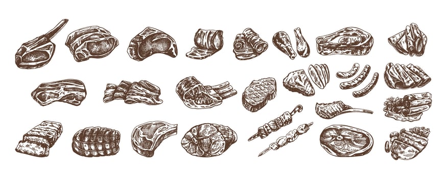 Set of hand-drawn monochrome sketches of different types of meat, steaks, chicken, kebabs, bacon, tenderloin, pork, beef, ham, barbecue. Vintage illustration. vector