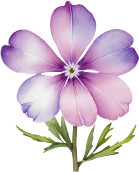 Modern Drummond Phlox Floral Watercolor Clipart Set. . png