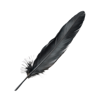 floated black feather isolate on transparency background png