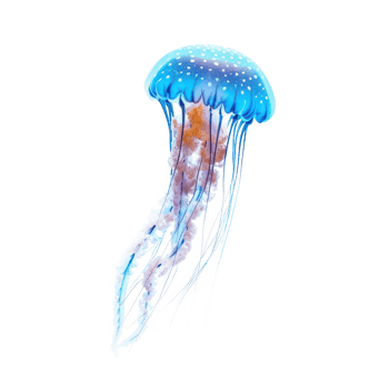 Jellyfish side view full body isolate on transparency background png