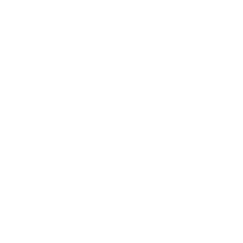 Ornamental White Snowflake Graphic Design. png