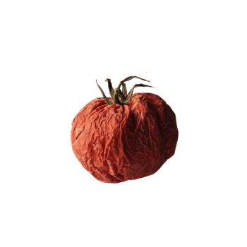 Visual representation of dried tomatoes on a transparent canvas png
