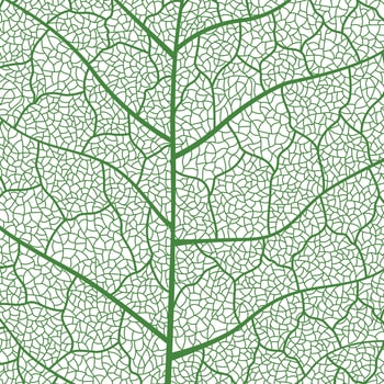 Close-up green leaf texture with intricate details of leaf veins showcasing natures botanical textures and patterns vector