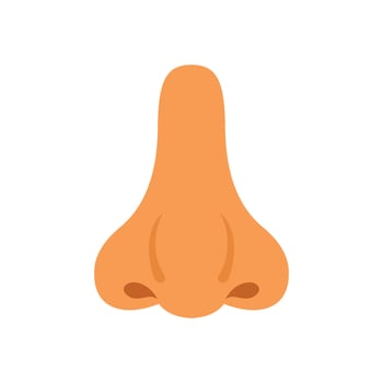 Human nose smelling breathing olfactory sense organ cartoon icon vector illustration